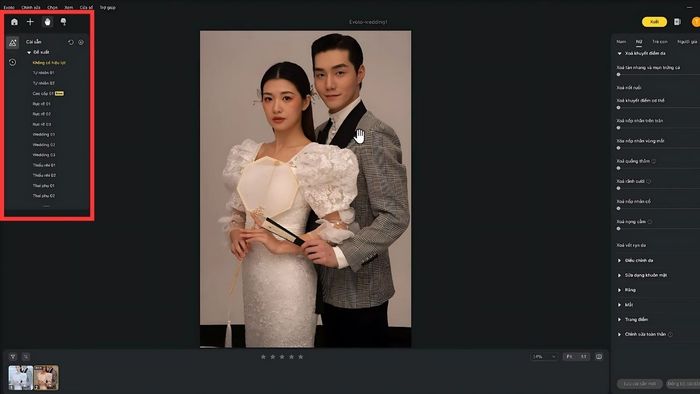 Hướng dẫn sử dụng Evoto AI