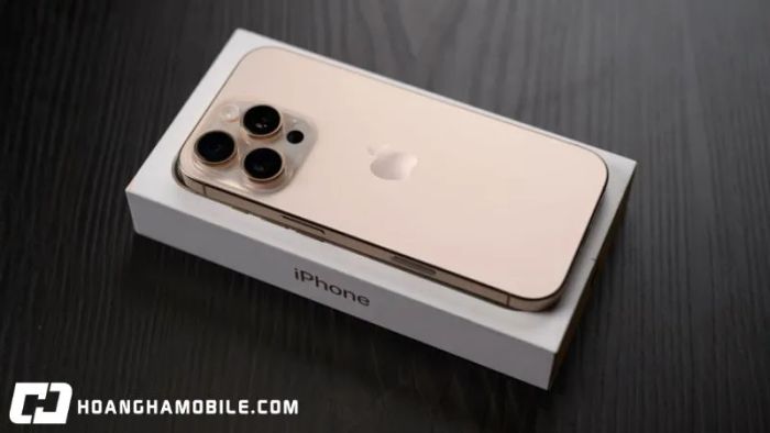 gia-iphone-16-pro-max-5