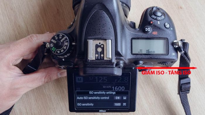 Hướng dẫn điều chỉnh ISO máy ảnh Nikon ở chế độ auto
