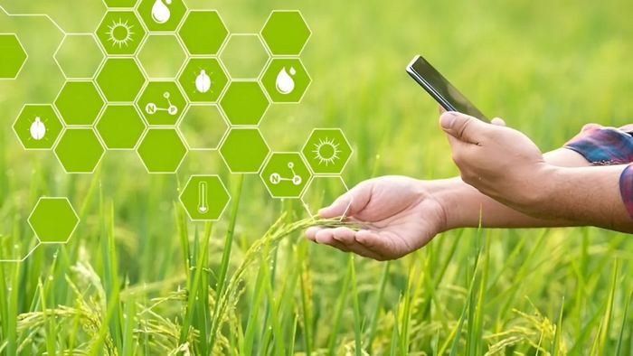 Một số lĩnh vực khác ứng dụng ICT