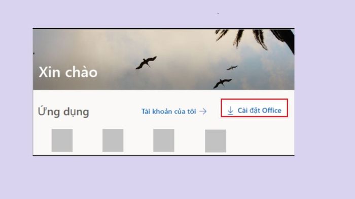 Cài đặt Office mới nhất để đảm bảo hiệu suất và tính ổn định