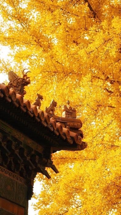 Hình nền phong thủy cho gia đình mệnh Thổ, giúp bảo vệ tổ ấm và mang lại may mắn