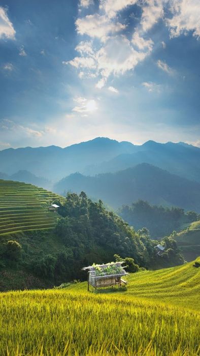 Hình nền gia đình phong thủy cho mệnh Thổ, giúp không gian sống thêm ấm cúng và an lành