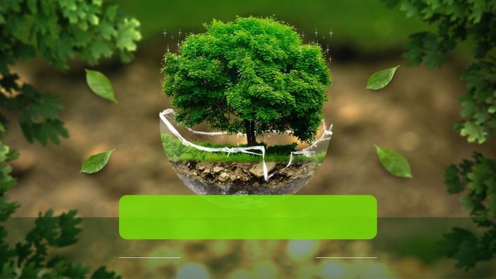 Mẫu hình nền PowerPoint cây xanh truyền tải thông điệp bảo vệ hành tinh