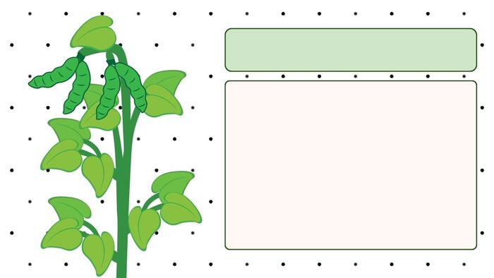 Hình nền PowerPoint cây xanh dành cho bài giảng môn Sinh học