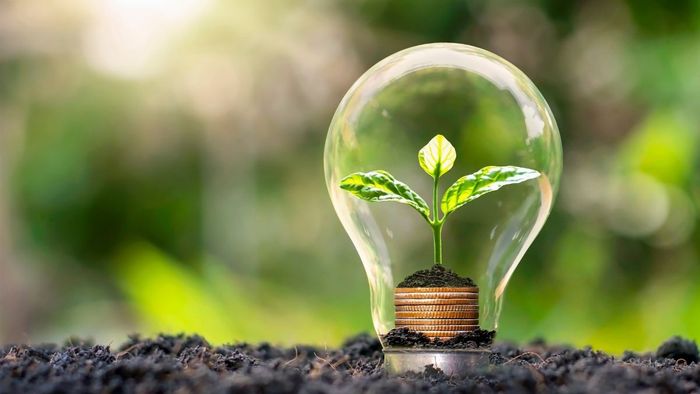 Mẫu hình nền PowerPoint cây xanh thể hiện thông điệp bảo vệ môi trường và hành tinh