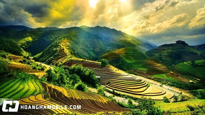 14-4-la-ngay-gi-8
