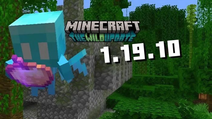 Cấu hình yêu cầu để chơi Minecraft 1.19.10 tiếng Việt