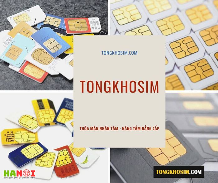 Tongkhosim-com-dia-chi-ban-sim-de-nho-so-dep-gia-re-chat-luong