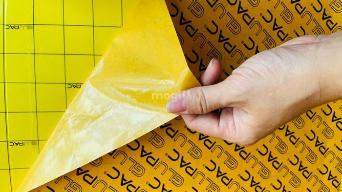 Các phương pháp ngăn chặn và xử lý khi rết vào nhà