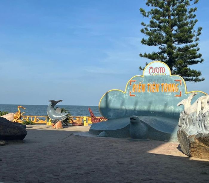 Khám phá biển Tiên Trang, viên ngọc hoang sơ của Thanh Hóa 2