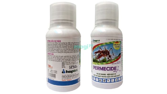 Các phương pháp hiệu quả để ngăn chặn rết bò vào nhà trở lại