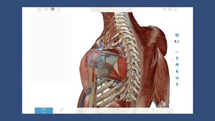 Trực quan hóa 3D giúp hiểu sâu về cơ thể