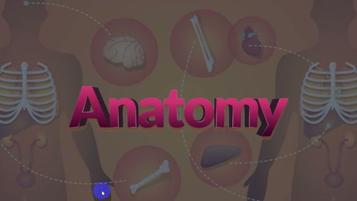 Anatomy là phần mềm gì?