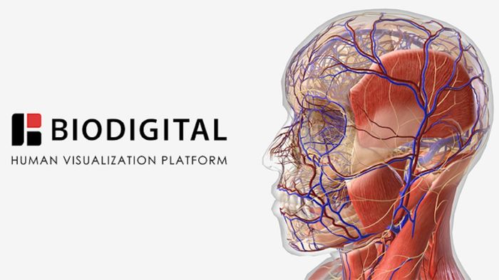 Phần mềm BioDigital Human