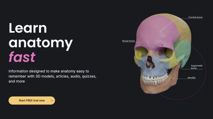 Sử dụng phần mềm Anatomy giúp bạn tiết kiệm cả thời gian lẫn chi phí học tập