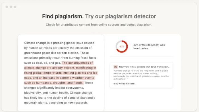 5-cong-cu-mien-phi-giup-ban-tim-va-loai-bo-noi-dung-bi-danh-cap-mot-cach-hieu-qua-11