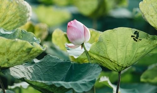 Hãy trân trọng những người bạn gặp.
