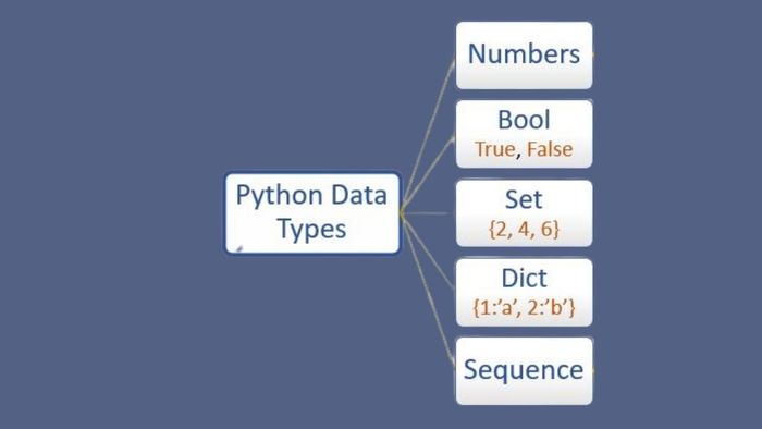 Các kiểu dữ liệu cơ bản trong Python rất dễ hiểu, đặc biệt là đối với những người mới bắt đầu học lập trình.