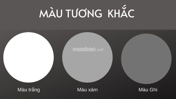 Danh sách màu xe không hợp với mệnh Mộc