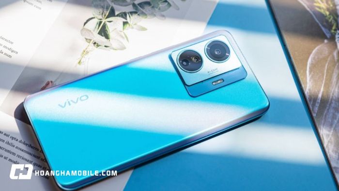 Vivo