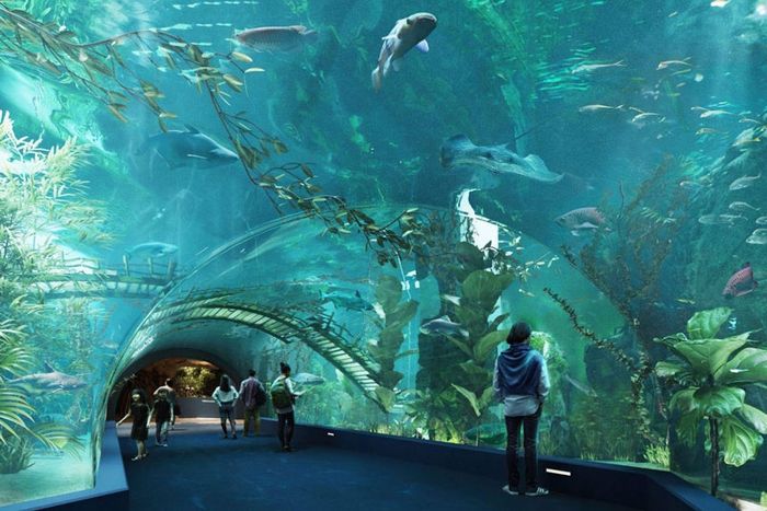 Lotte Mall Tây Hồ: Trải nghiệm ăn uống, mua sắm và giải trí 9