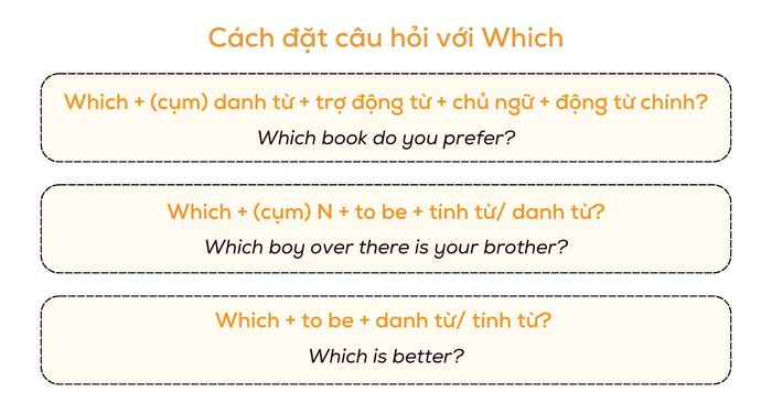 cach dung which de dat cau hoi