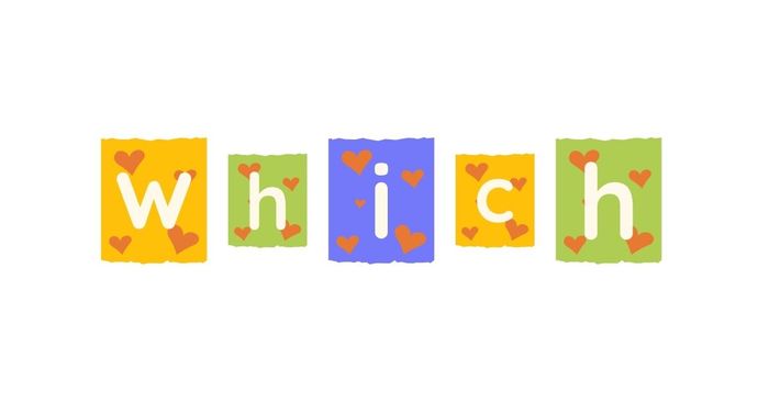 cách sử dụng which để đặt câu hỏi