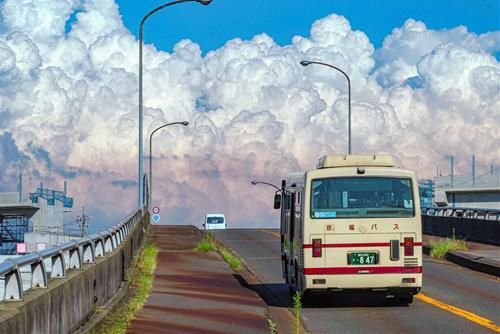 Tử vi tuần mới của 12 cung hoàng đạo