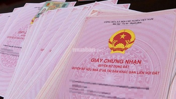 Hồ sơ và thủ tục xin cấp chỉ giới đường đỏ