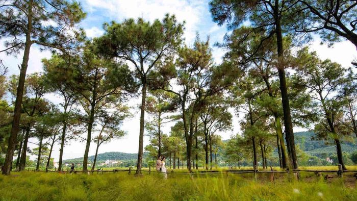 danh lam thắng cảnh Hải Dương - hình 2