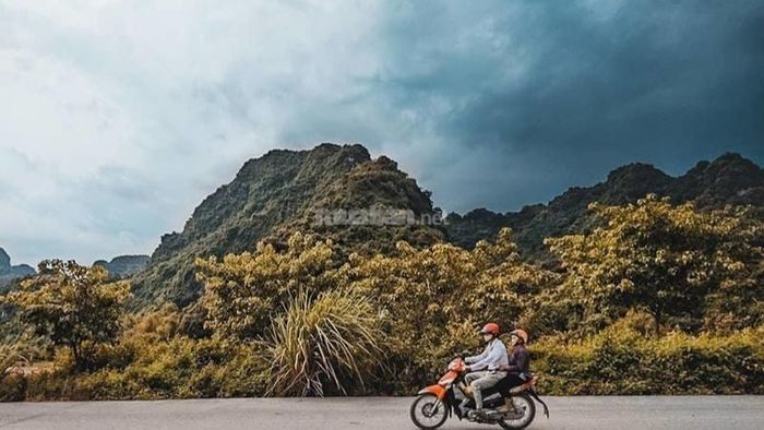 Ngày càng nhiều du khách chọn thuê xe máy để tiện di chuyển khi du lịch.