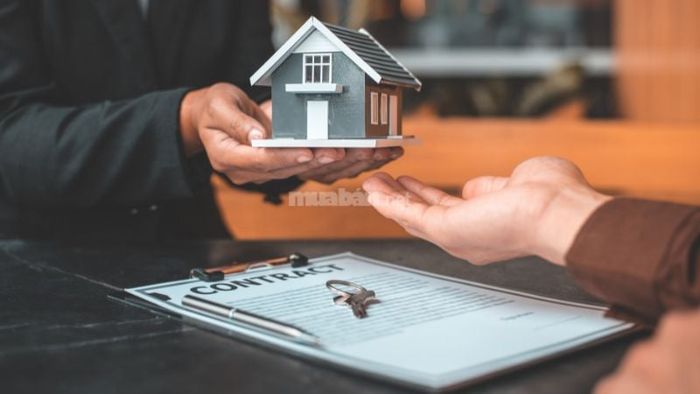 Nghĩa vụ của người sử dụng đất thương mại dịch vụ