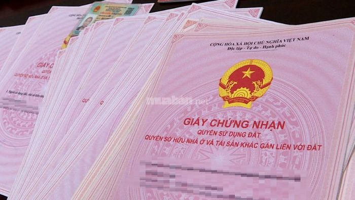 Sử dụng ổn định lâu dài
