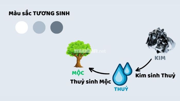Mệnh Thủy nên chọn xe màu gì?