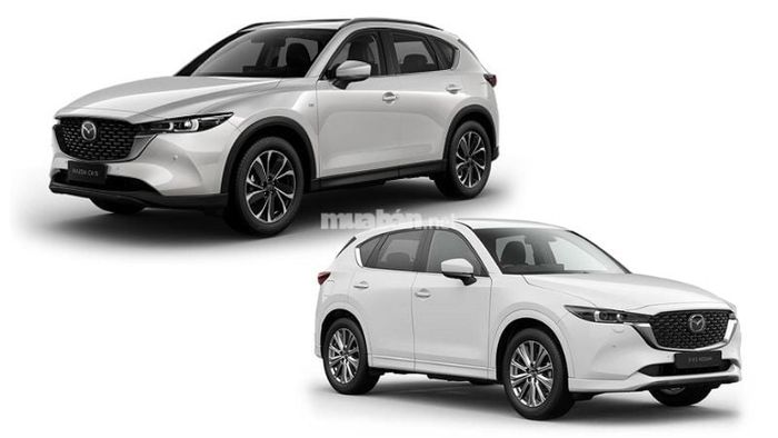 Mazda CX-5 (màu xám, trắng)