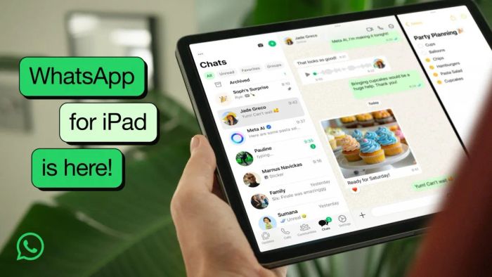 Phiên bản WhatsApp dành riêng cho iPad