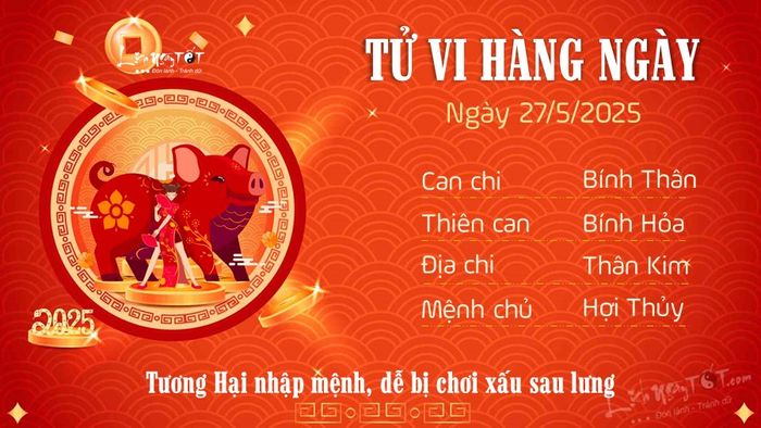 12 Tử vi hằng ngày 27-5-2025 - Tuổi Hợi