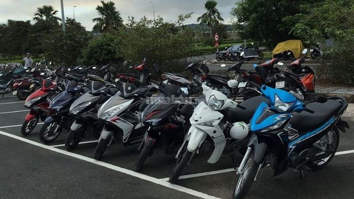 Top 10 địa chỉ cho thuê xe máy đáng tin cậy và chất lượng tại Phú Quốc