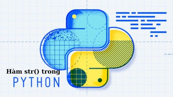 Hàm str trong Python