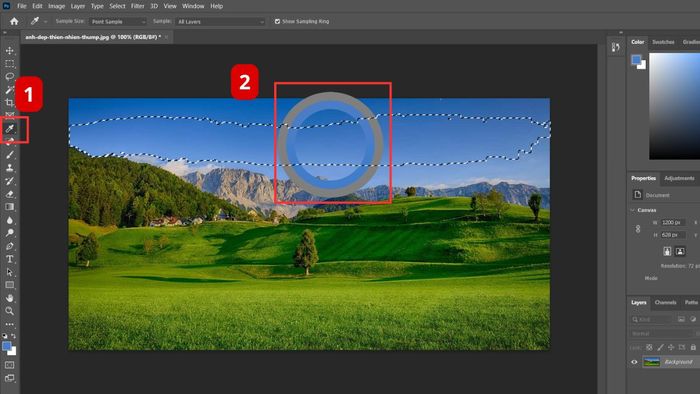 Sử dụng công cụ Magic Wand Tool để lấy mã màu trong Photoshop bước 3