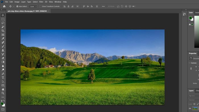 Sử dụng công cụ Eyedropper Tool để lấy mã màu trong Photoshop bước 1 (Hình minh họa)
