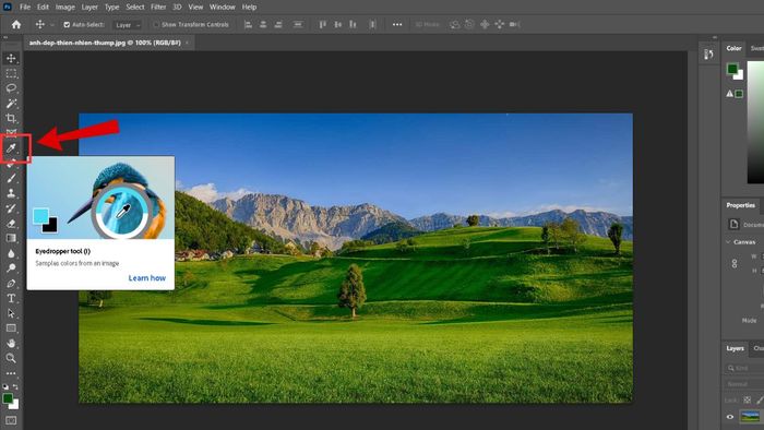 Sử dụng công cụ Eyedropper Tool để lấy mã màu trong Photoshop bước 2 (Hình minh họa)