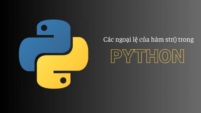 Các ngoại lệ và lỗi thường gặp khi sử dụng hàm str() trong Python