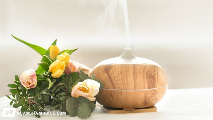 20-cach-duoi-muoi-an-toan-hieu-qua-va-tan-goc-ngay-tai-nha-8