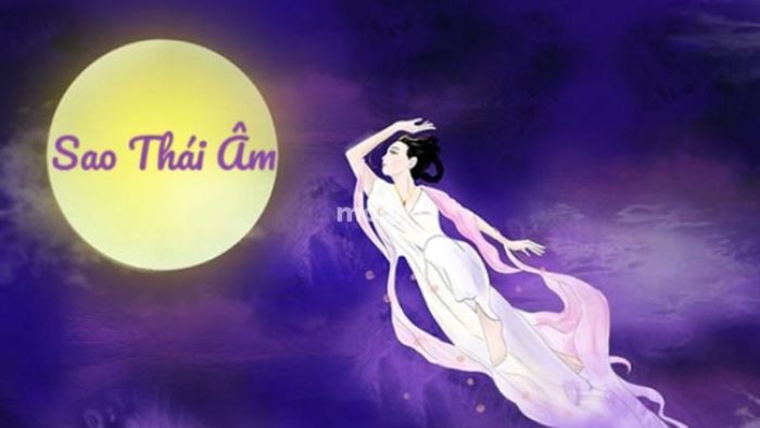 Nam mạng Nhâm Tuất 1982 được sao Thái Âm chiếu mệnh.