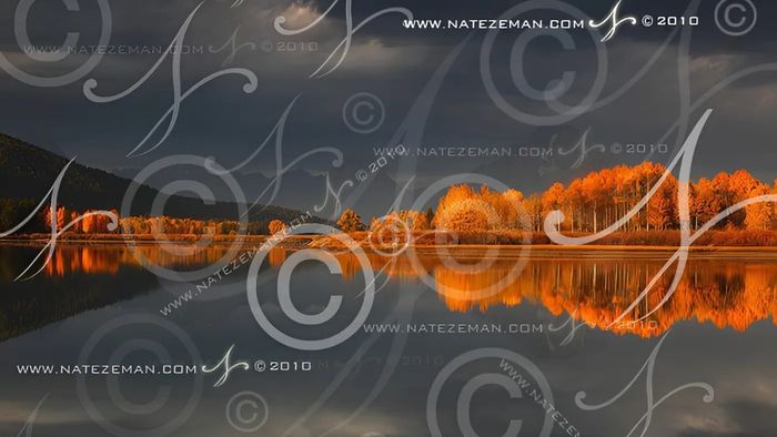 Watermark cần được thiết kế sao cho dễ nhìn và dễ nhận diện