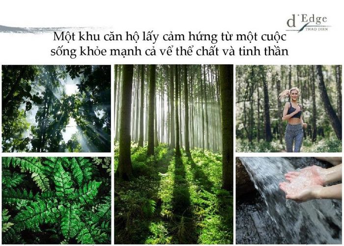 nghich-thuy-han-vng-4