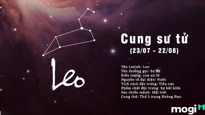Cung Sư Tử Nữ