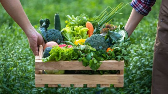 Mô hình “Farm to Table”